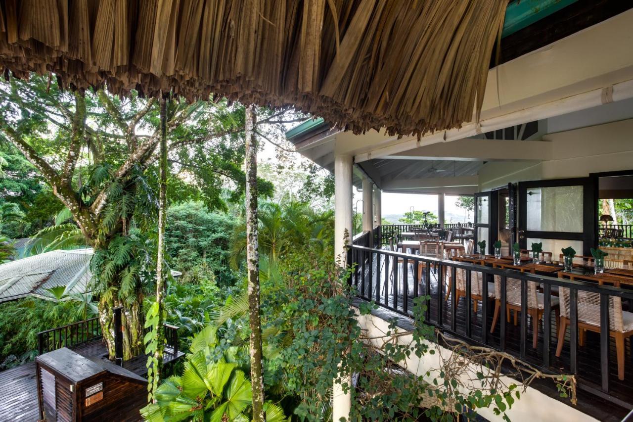 Copal Tree Lodge A Muy'Ono Resort Toledo District Exteriér fotografie